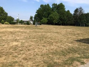 FB_IMG_1439543753933