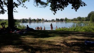 IMG-20150805-WA0022small